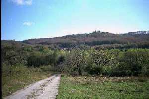 Blick zur Huysburg