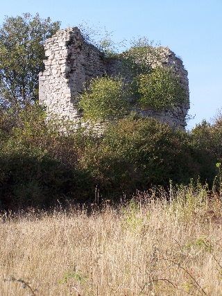 Paulskopfwarte am Ostrand des Huy